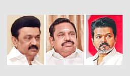 ஆடு, புலி, புல்லுக்கட்டு சவால்...