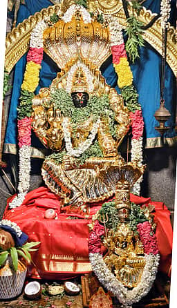 திருமலை திருப்பதி கெங்கையம்மன் கோயில் 10-ஆம் ஆண்டு விழா