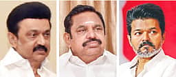 ஆடு, புலி, புல்லுக்கட்டு சவால்... 