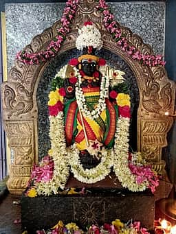 புகழிமலை பாலசுப்ரமணிய சுவாமிக்கு சிறப்பு வழிபாடு