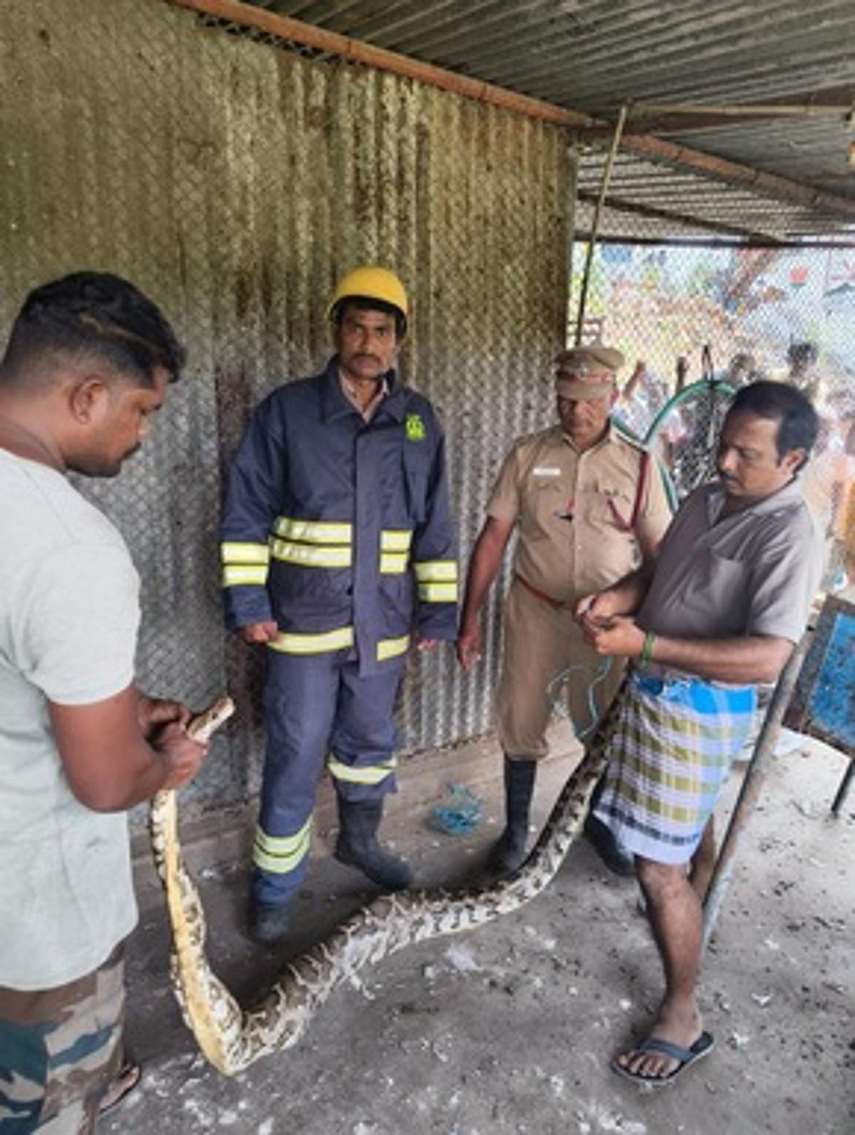 News image