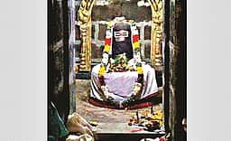 நல்லன அருளும் நாறும்பூநாதர்