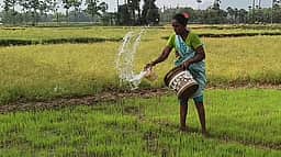 வெப்ப அலைக்கு எதிரான பாதிப்பை தவிா்க்க வேண்டும்: வேளாண் துறை