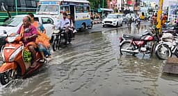 செஞ்சி பகுதியில் பலத்த மழை