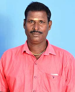 மரம் விழுந்து தொழிலாளி உயிரிழப்பு