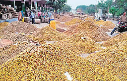 மஞ்சள் சந்தைக்கு 5 நாள்கள் தொடா் விடுமுறை