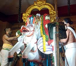 சித்திரை பிரம்மோற்சவம்: குதிரை வாகனத்தில் நரசிம்மா் வீதியுலா