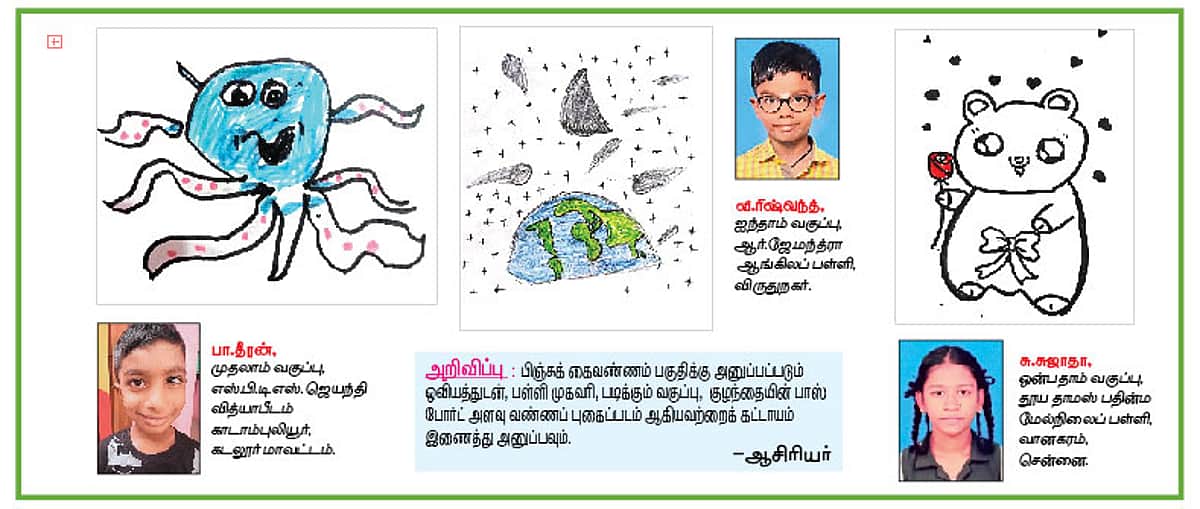 News image