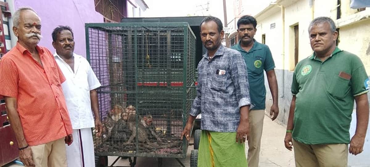 News image