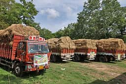 பசு பாதுகாப்பில் அனைவரும் பங்கேற்க வேண்டும்: திருமலை தேவஸ்தான கூடுதல் செயல் அதிகாரி!