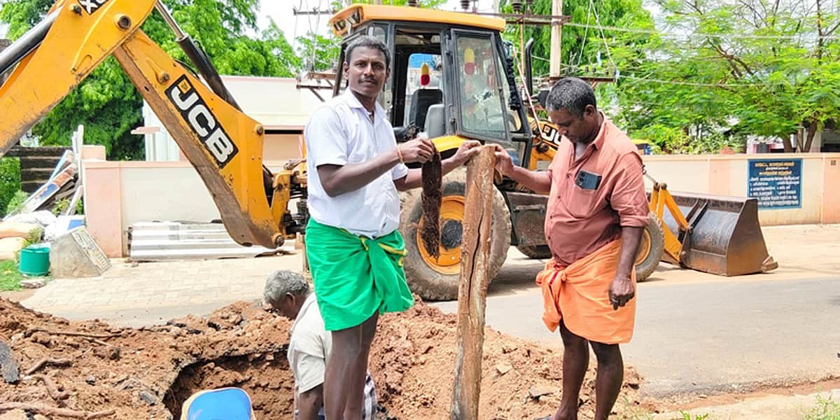 News image