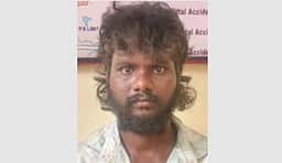 மாடு திருட்டு: இளைஞா் கைது