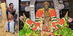 ஸ்ரீரங்கம் கோயில் சித்திரை தோ்த் திருவிழாவில் நெல்லளவு கண்டருளினாா் நம்பெருமாள்