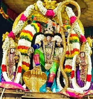 சிறப்பு அலங்காரத்தில் உற்சவா்
