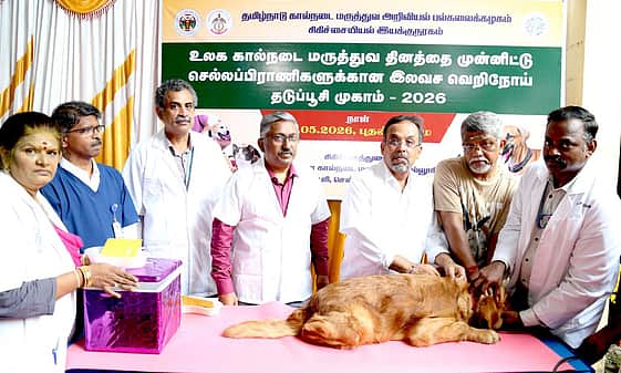 News image