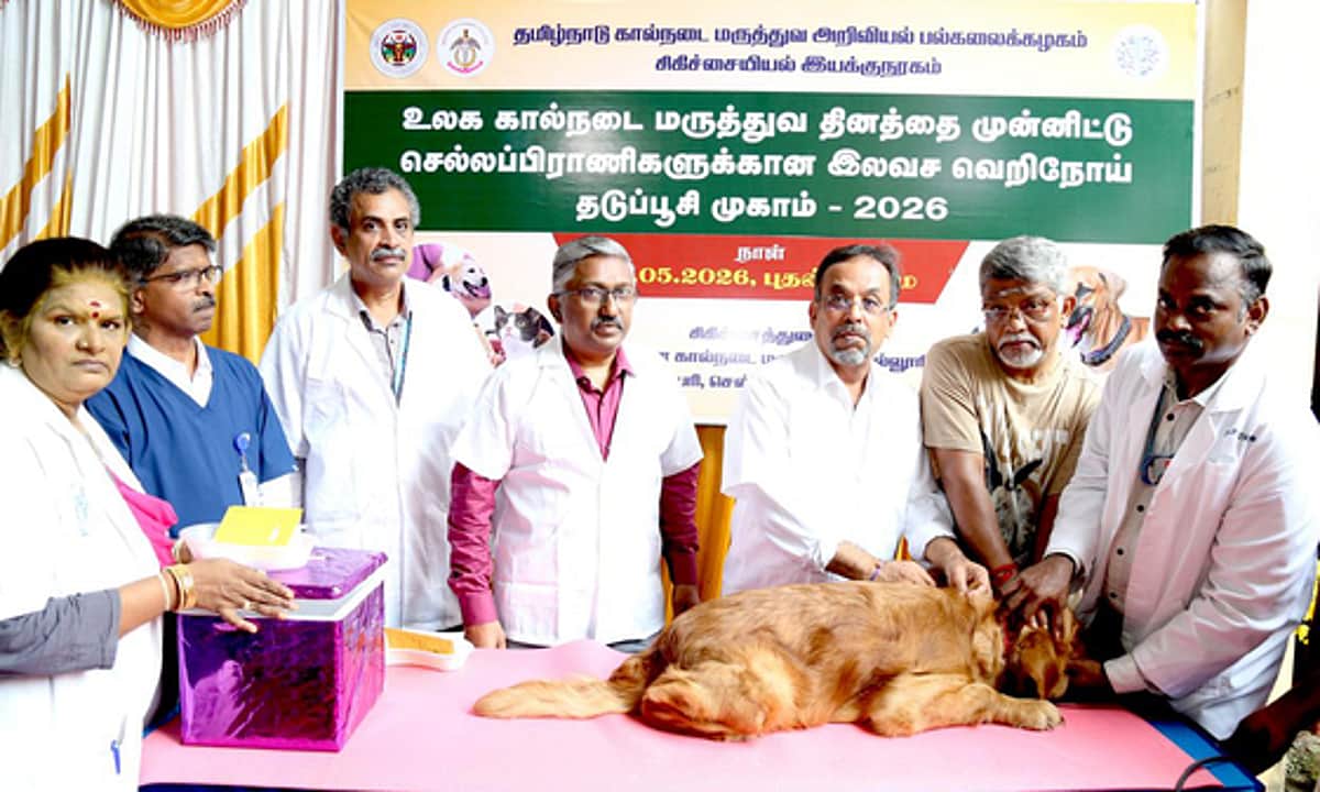 News image