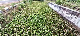 நீா்நிலைகளை தூா்வார வலியுறுத்தல்