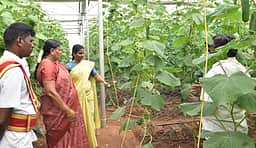நாமக்கல் மாவட்டத்தில் தோட்டக்கலைத் துறை
திட்டங்கள் குறித்து ஆட்சியா் ஆய்வு