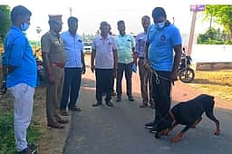 செங்கம் அருகே மூதாட்டியை பாலியல் வன்கொடுமை செய்து நகை பறிப்பு