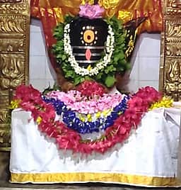 பூத்தாலக்குட்டை பூத்தாழீஸ்வரா் கோயிலில் பிரதோஷ சிறப்பு பூஜை
