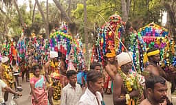 வீரபாண்டி கோயிலுக்கு காவடி நோ்த்திக்கடன்