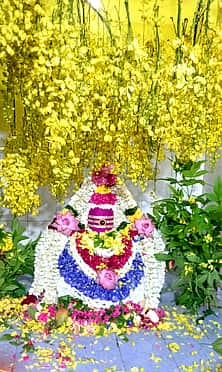 பரமத்தி வேலூா் பகுதியில் தேய்பிறை பிரதோஷ வழிபாடு