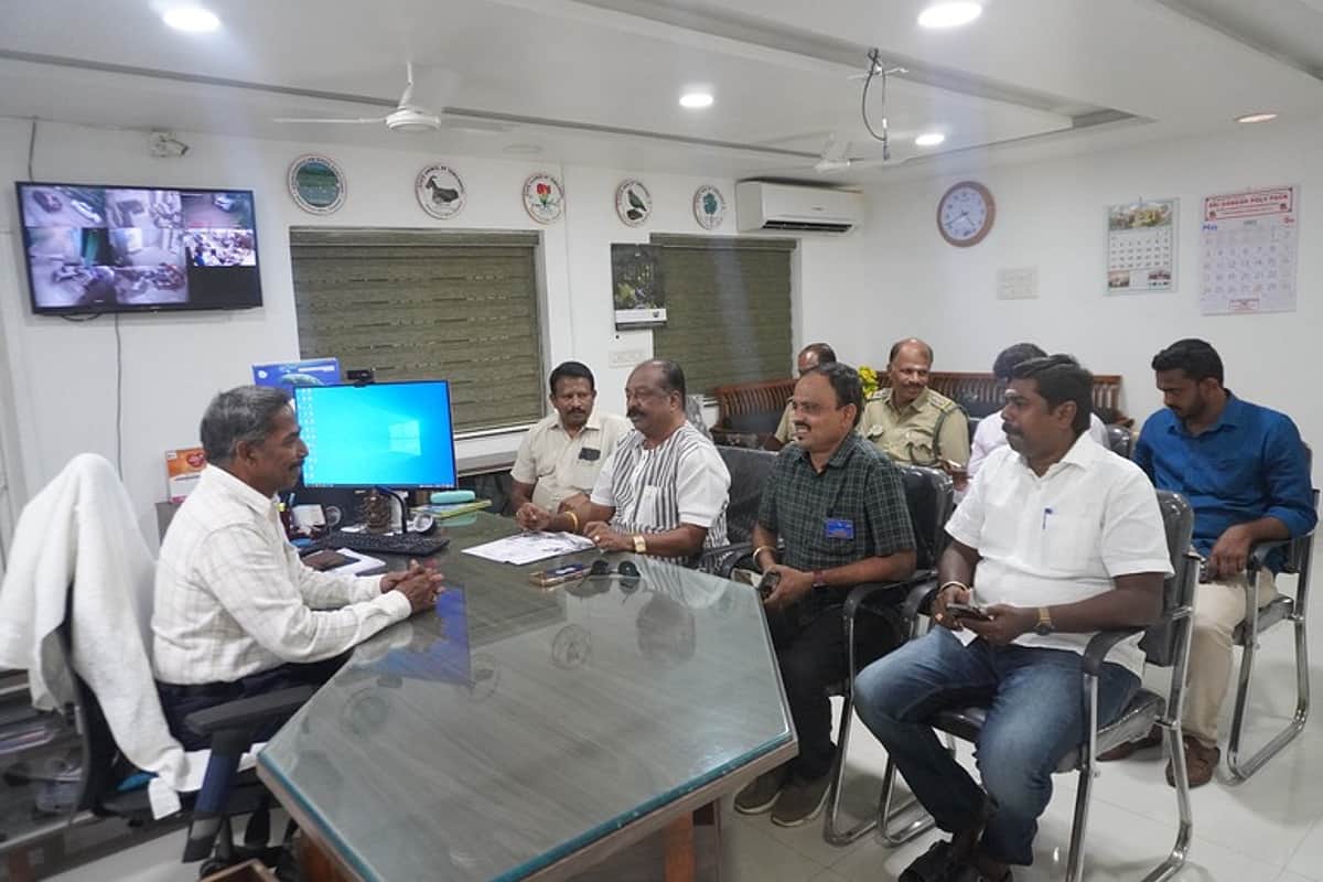 News image
