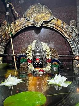 ஸ்ரீ செங்காளம்மன் கோயில்
ஜல வாசம் திருவிழா நிறைவு