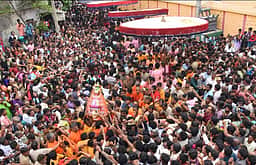 குடியாத்தம் கெங்கையம்மன் சிரசு திருவிழா கோலாகலம்