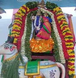 வாணியம்பாடி கோயில்களில் பிரதோஷ வழிபாடு