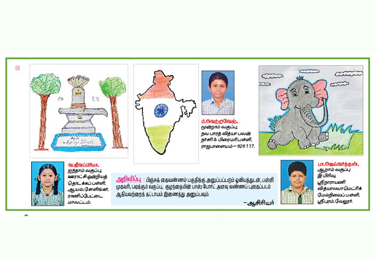 News image