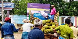 வாழப்பாடியில் விற்பனையாகும் 
விலை குறைந்த பண்ருட்டி பலாப்பழம்!