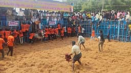 விராலிமலையில் ஜல்லிக்கட்டு; 33 போ் காயம்