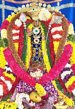 வைகாசி கிருத்திகை: வல்லக்கோட்டை முருகன் கோயிலில் சிறப்பு வழிபாடு