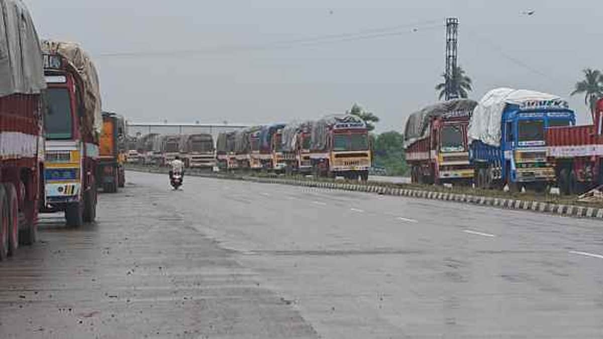 News image