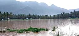 பழனி, போடியில் பலத்த மழை