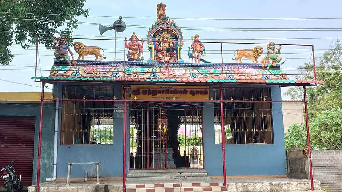 News image