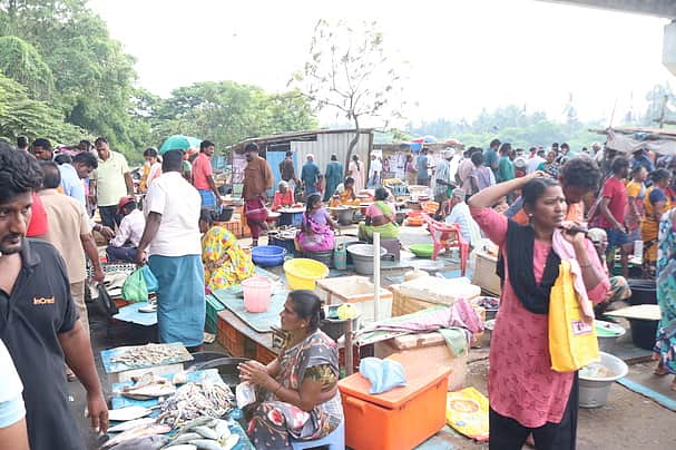கடலூா் மீன் பிடி துறைமுகத்தில்
மீன்கள் விலை உயா்வு