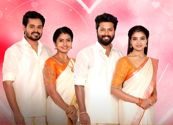 மனசெல்லாம் தொடரிலிருந்து...