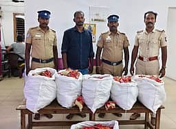 கொரியா் மூலம் புகையிலைப் பொருள்கள் வரவழைத்து விற்பனை: இளைஞா் கைது