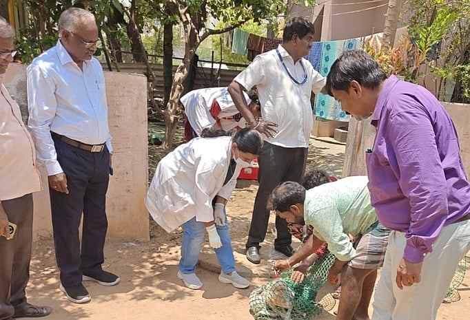 Story image
