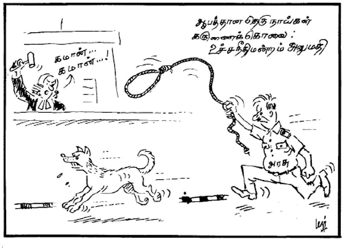 News image