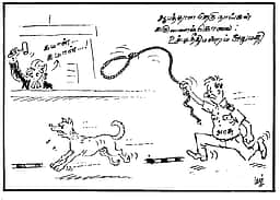 தெரு நாய்கள்