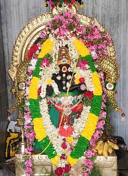 பழனி சண்முகபுரம் சித்தி விநாயகா் கோயிலில் வளா்பிறை சதுா்த்தி சிறப்பு வழிபாடு
