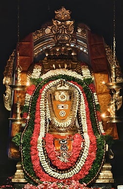 சிறப்பு அலங்காரத்தில் அருள்பாலித்த மீனாட்சியம்பாள்- ஸ்ரீ சொக்கநாத சுவாமி.