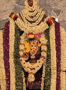 சாணாா்பதி மாரியம்மன்  கோயிலில் கம்பம் திருவிழா