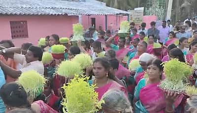 கன்னிமார் கருப்பராய சுவாமி கோயிலில் முளைப்பாரி ஊர்வலம்!