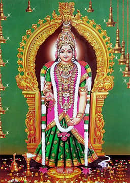பகவதியம்மன் கோயில் வைகாசி விசாகத் திருவிழா இன்று தொடக்கம்