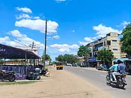 தேசிய நெடுஞ்சாலையில் ஆபத்தான பனை மரம்