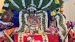 வைகாசி பெருந்திருவிழா: வசந்த உற்சவம்